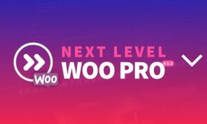 Download corso Next Level Woo PRO di Andrea Marchetti