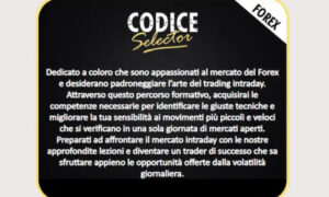 Codice Selector MASTER – Max Mereghetti